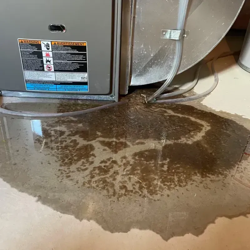 Appliance Leak Cleanup in Madison County, GA